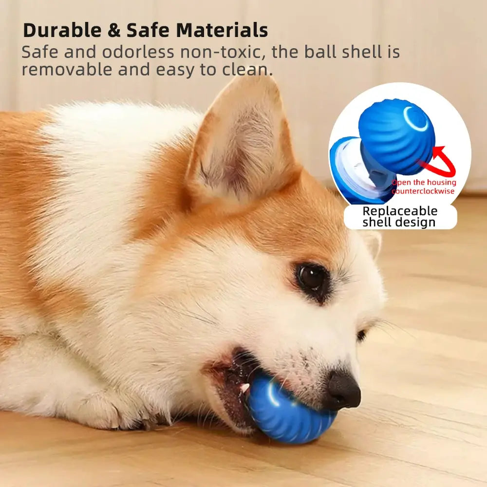 Sniffs Smart Ball